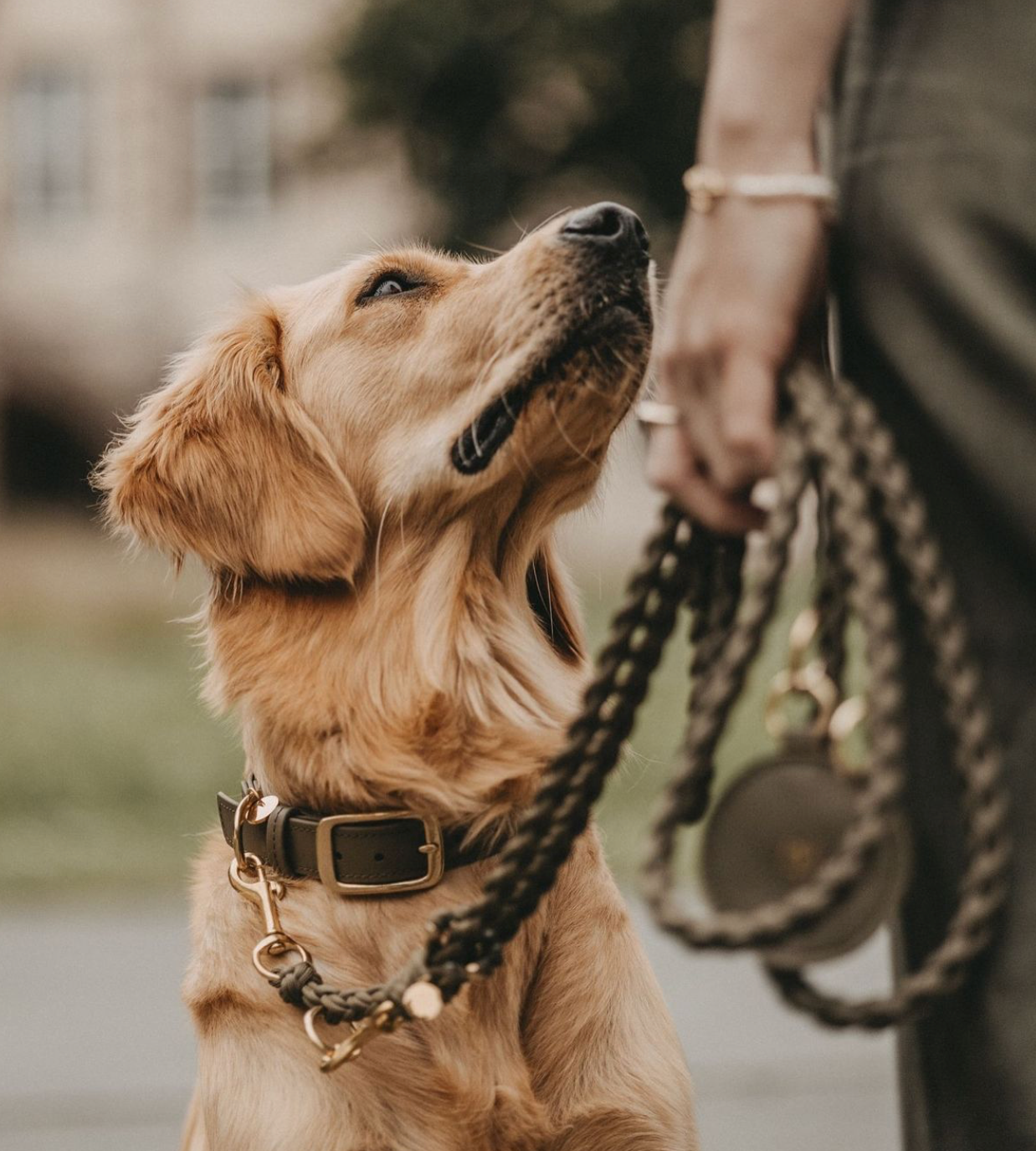 Accessoire pour les promenades