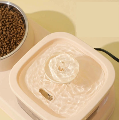 2-in-1 Cat Water Dispenser and Bowl