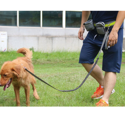 Correa para perros manos libres