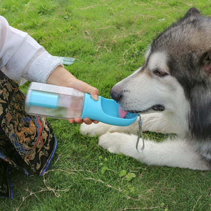 Portable water bottle