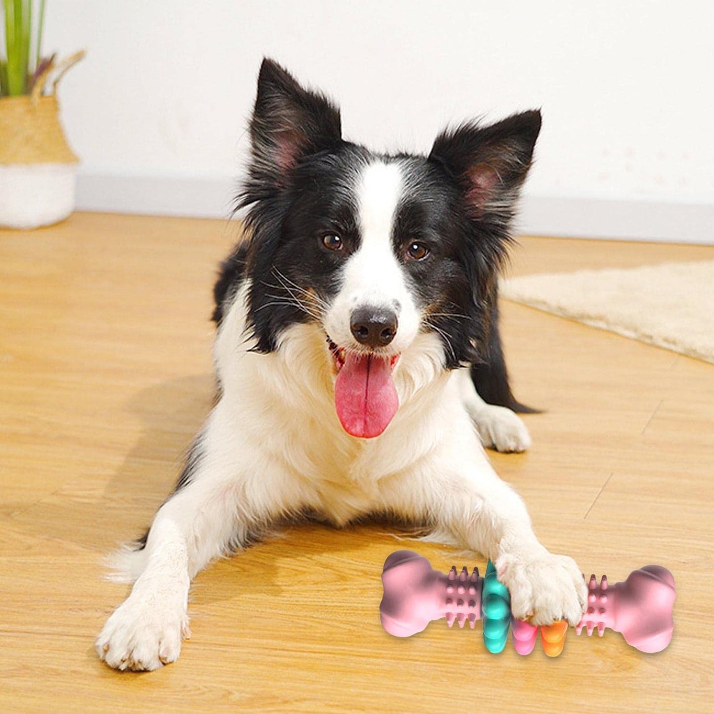 Juguete masticable para perros