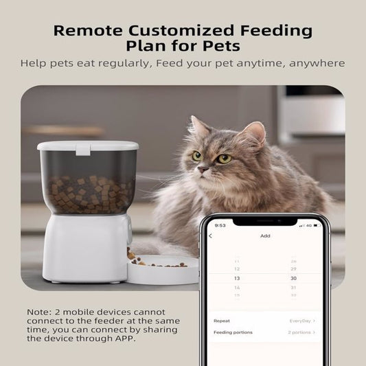 Dispensador automático de comida para gatos