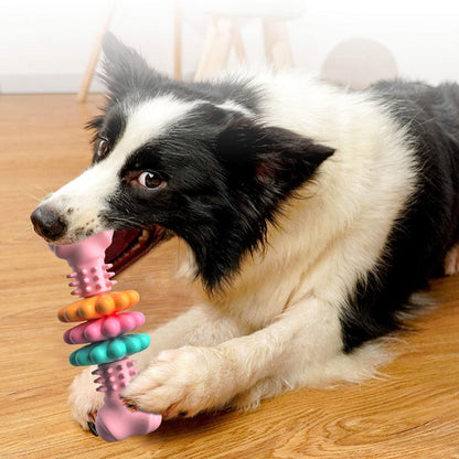 Jouet à Mâcher pour Chien