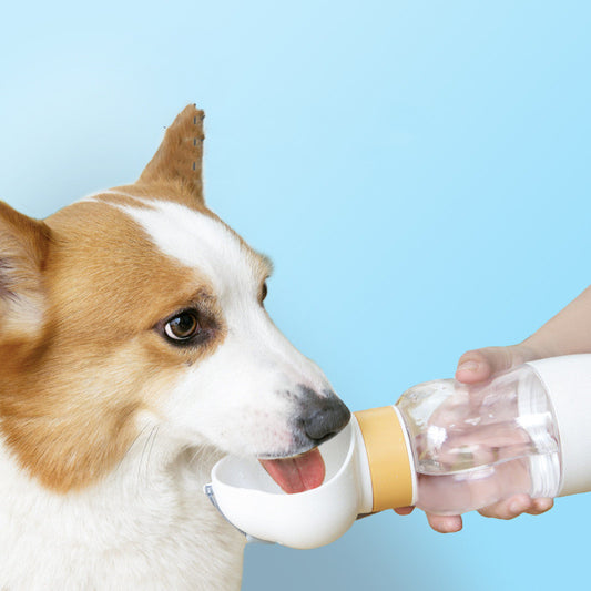 Portable dog water bottle