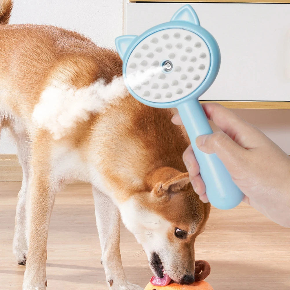 Bristle cleaning brush with mist